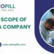 What Is The Scope Of PCD Pharma Company In India?